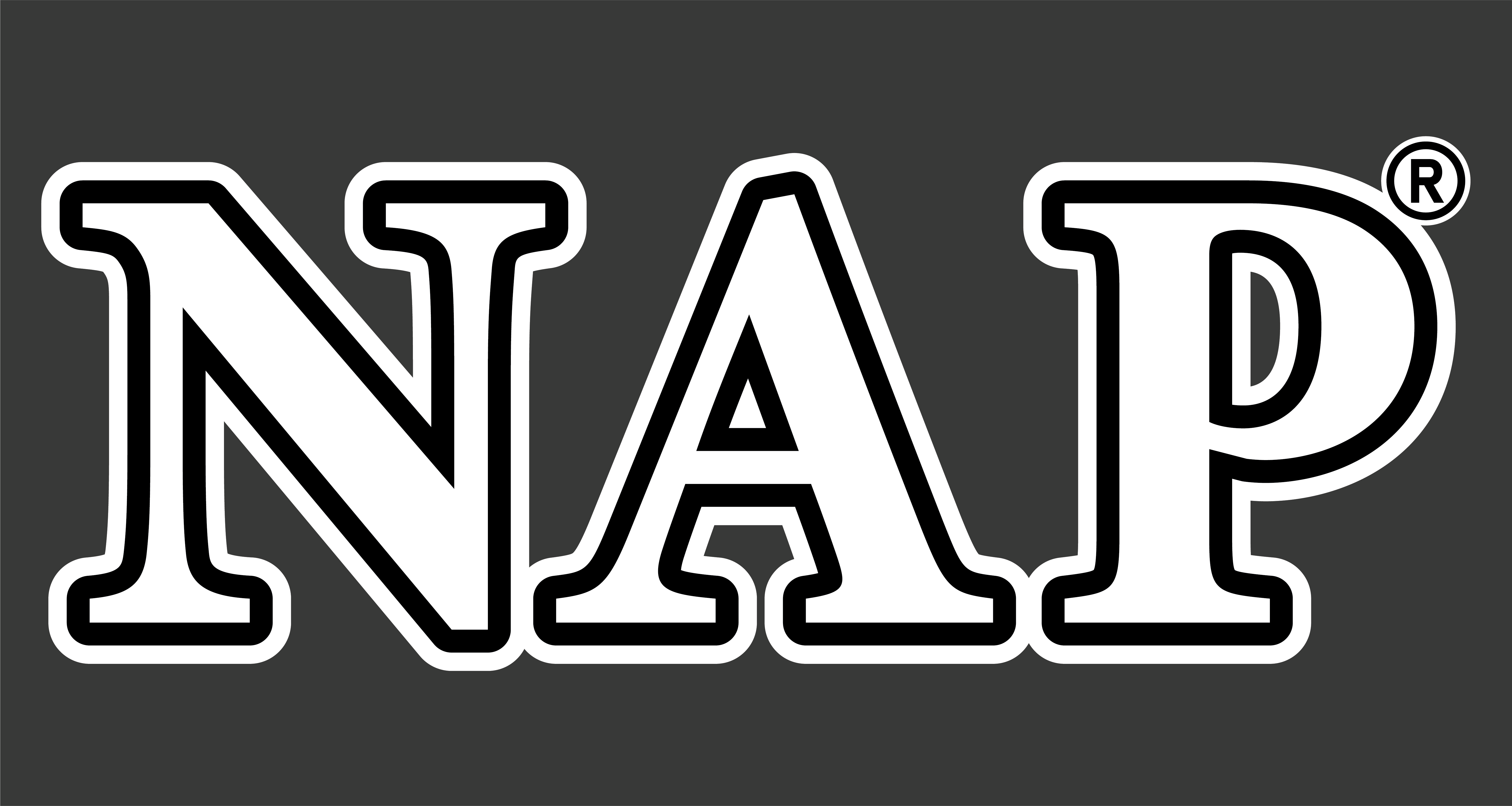 NAP LOGO_Artboard 